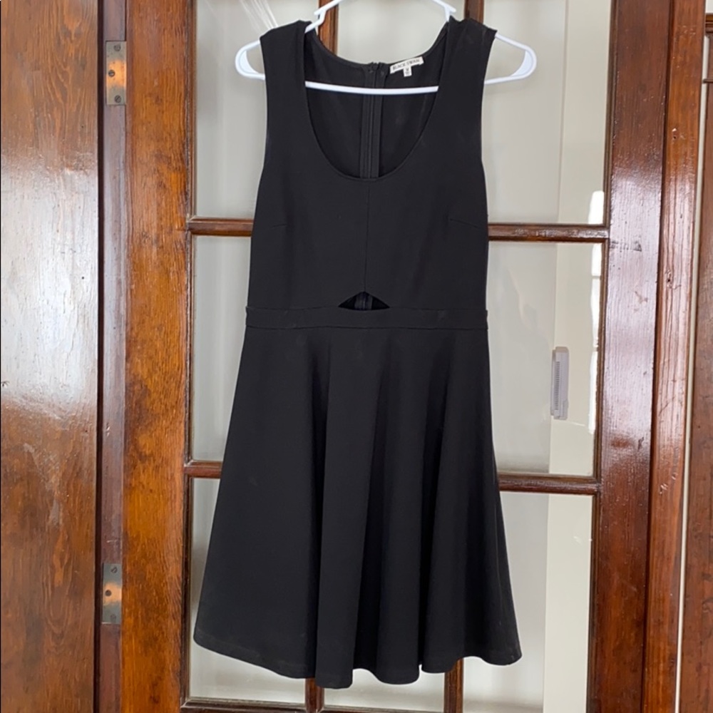 Black Swan Dress